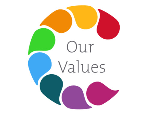 Our values